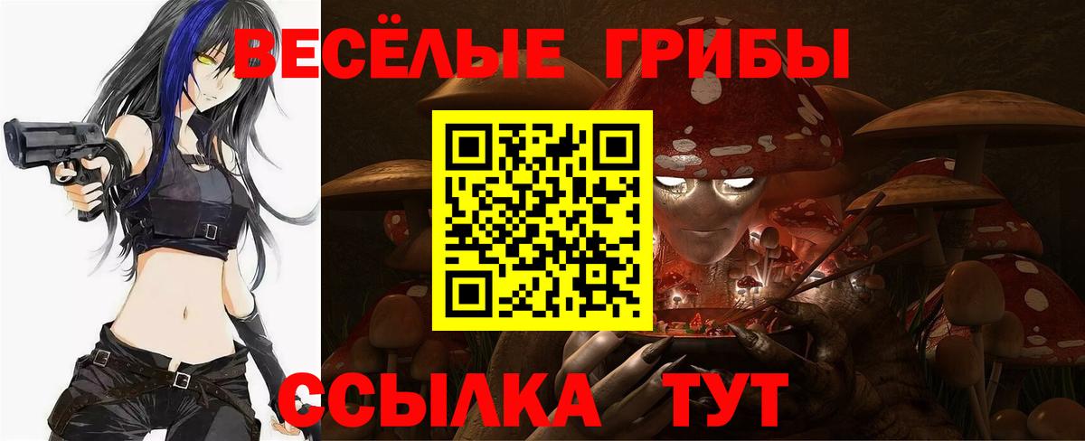 Псилоцибиновые грибы Psilocybe Новый Уренгой